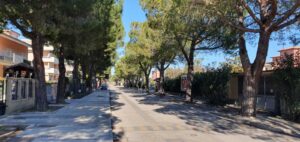 Pini di viale Volturno, replica dell’amministrazione a Monticelli e Italia Viva