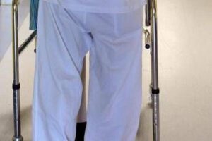 Ordini infermieri: “Bene proposta Zaffini su Garante della salute a livello territoriale”