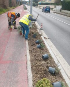 A Pineto ultimati i lavori di cura del verde per la manutenzione continua
