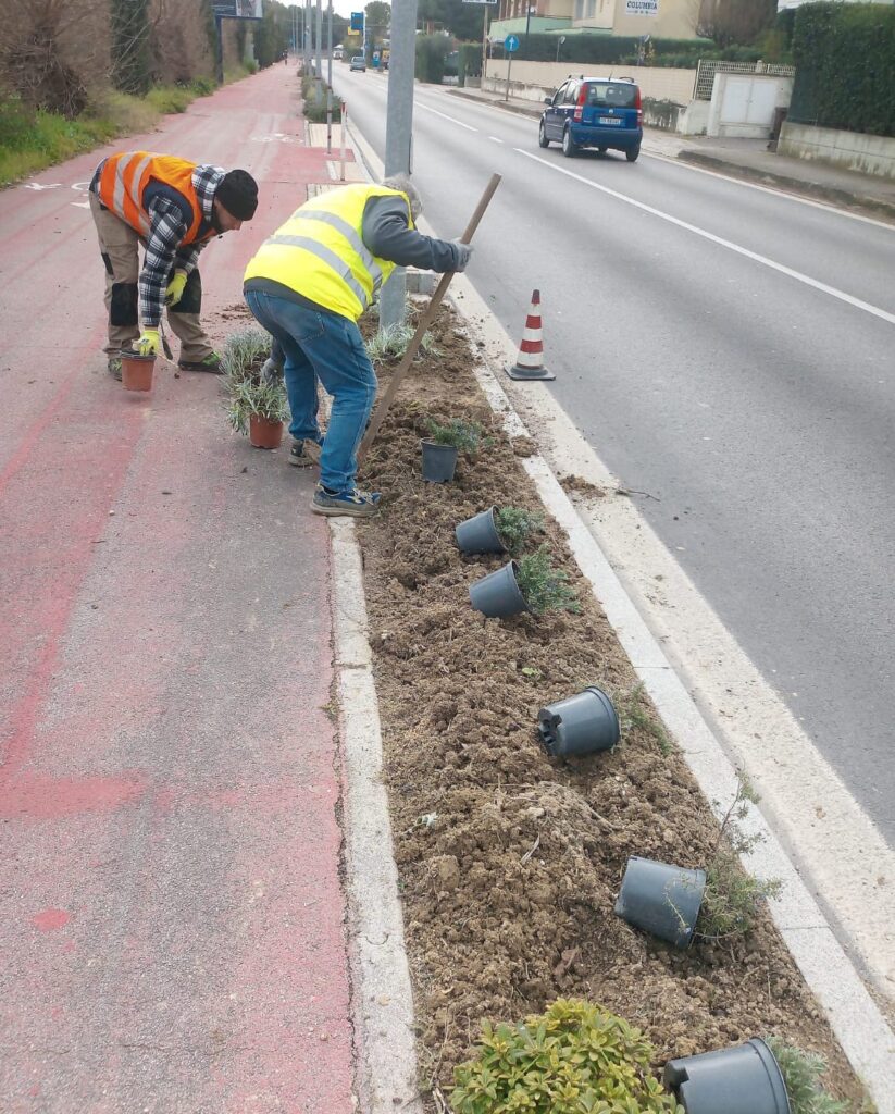 A Pineto ultimati i lavori di cura del verde per la manutenzione continua