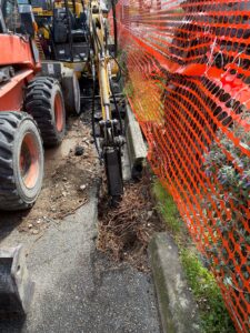 Co.n.al.pa.: "Violato lo spazio vitale degli alberi della Strada Parco"