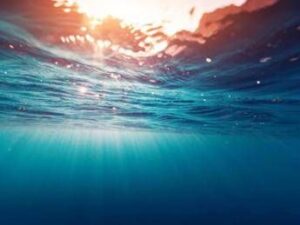 Oceani, aumenta la desertificazione a causa del cambiamento climatico