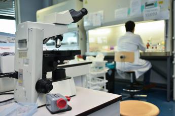 Cancro, l’effetto del ‘digiuno’ sulle terapie: il primo studio è italiano