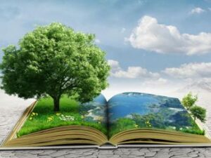 Sostenibilità, vademecum di azioni concrete per le persone e le imprese