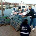 Guardia Costiera Giulianova, 1150 kg di prodotti ittici sequestrati. 13 mila euro di multa