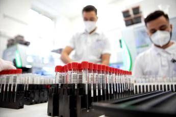 Covid, continua la risalita in Italia: contagi e morti nell’ultima settimana, il bollettino