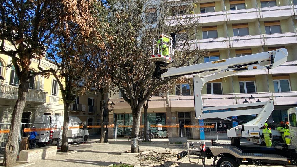 Pescara migliora il suo volto con un piano di potenziamento del verde