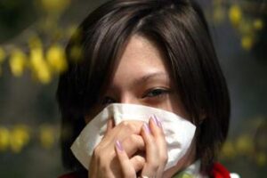 8 marzo, mimosa no grazie: “La soffre fino al 30% degli allergici ai pollini”