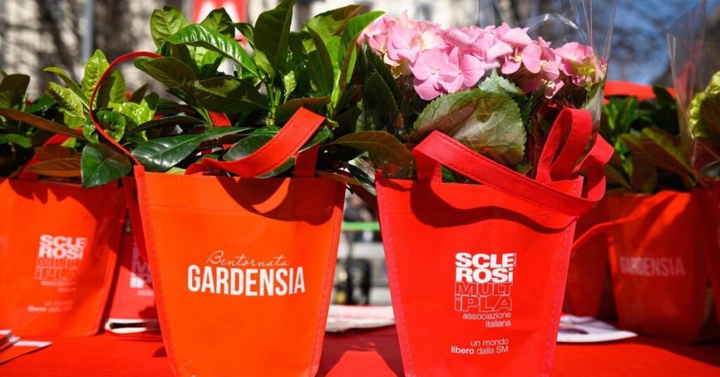 Uil Abruzzo sostiene la campagna Aism per la ricerca sulla sclerosi multipla