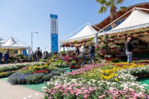 Mostra del Fiore Florviva, in arrivo la 45esima edizione