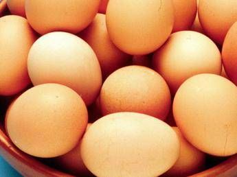 Salmonella, alert negli Usa: quasi 100 casi e uova ritirate dal mercato