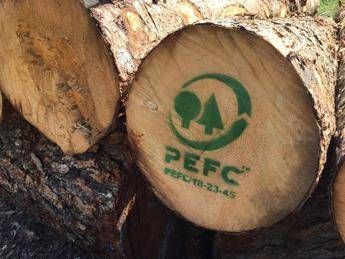 Pefc Italia, 71mila tonnellate di CO2 assorbita da foreste certificate
