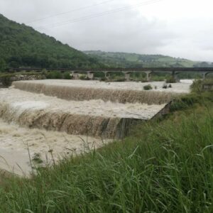 Maltempo, Pepe(Pd): I danni in agricoltura arrivano al 100%