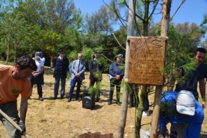 Alberi contro la mafia per l’anniversario della strage di Capaci