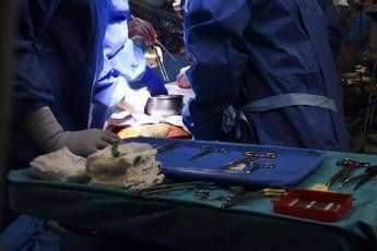 Trapianti, in Italia record donazioni e scende attesa, a Milano congresso specialisti