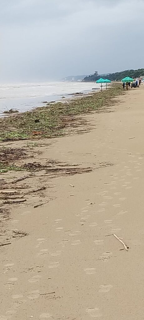 Maltempo, tavolo in Comune a Pineto per pulire il materiale spiaggiato