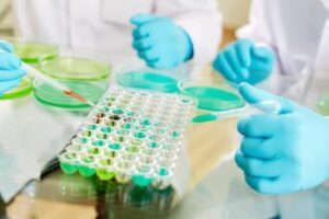 Diabete, i danni al pancreas svelati dalla ricerca
