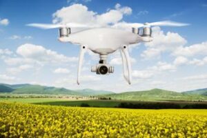 Agricoltura, Ismea: “Subito esaurita intera dotazione 2023 Fondo Innovazione”