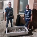 Guardia Costiera Giulianova: sanzionati altri due pescatori di frodo