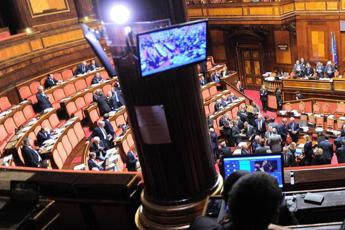 Costituzione, fonti presidenza Senato: “Versione inglese con ‘gender’ risale a 2017”