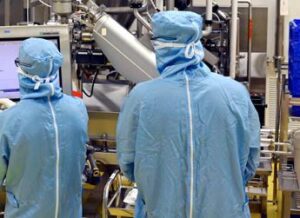 Dengue in Italia: cos’è, i sintomi e la cura