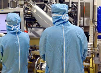 Dengue in Italia: cos’è, i sintomi e la cura