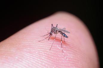 Dengue in Lombardia, due nuovi casi