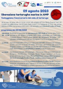 AMP, mattinata dedicata alla liberazione di due tartarughe Caretta caretta