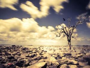 Siccità Abruzzo, chiesto lo stato di calamità naturale