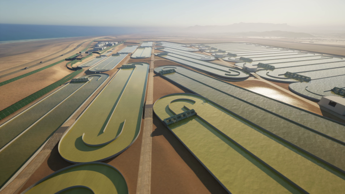 Una soluzione di automazione universale di Schneider Electric e Platinum Electrical Engineering per scalare il processo di cattura della CO2 basato sulle alghe di Brilliant Planet