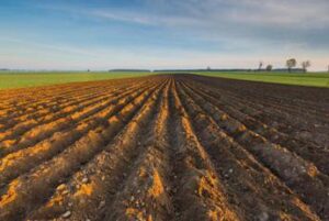 Acqua, Guerrini (Arera): “Nuovo metodo tariffario permetterà copertura costi riuso agricoltori”