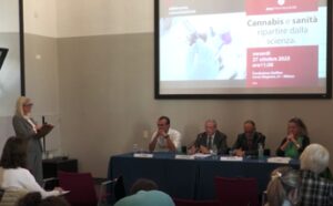 Cannabis, Russo (UniCz): “La quantità dei principi attivi diversa a seconda della tipologia”