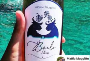 Cantina sarda la spunta sulla Red Bull: “Davide ha vinto su Golia”