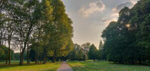 Gruppo Prada supporterà ripristino di Parco Nord Milano