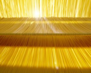 Gusto, salute e prevenzione: con legumi e grani antichi, le 6 linee di pasta bio firmate Sgambaro sono un inno alla corretta nutrizione