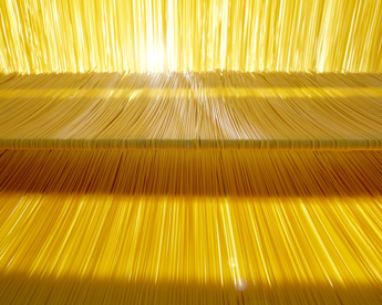 Gusto, salute e prevenzione: con legumi e grani antichi, le 6 linee di pasta bio firmate Sgambaro sono un inno alla corretta nutrizione