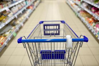 Istat: reddito famiglie in calo dello 0,1%