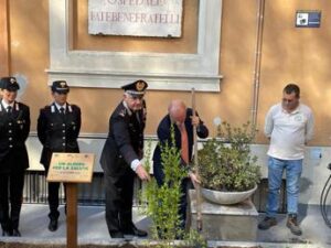 Ospedali più ‘green’, in 30 strutture piantato ‘Albero per la salute’