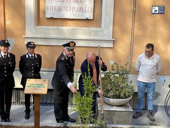 Ospedali più ‘green’, in 30 strutture piantato ‘Albero per la salute’