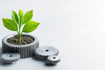 Strategia e trasparenza, il Manifesto di Sostenibilità di Industrie Chimiche Forestali