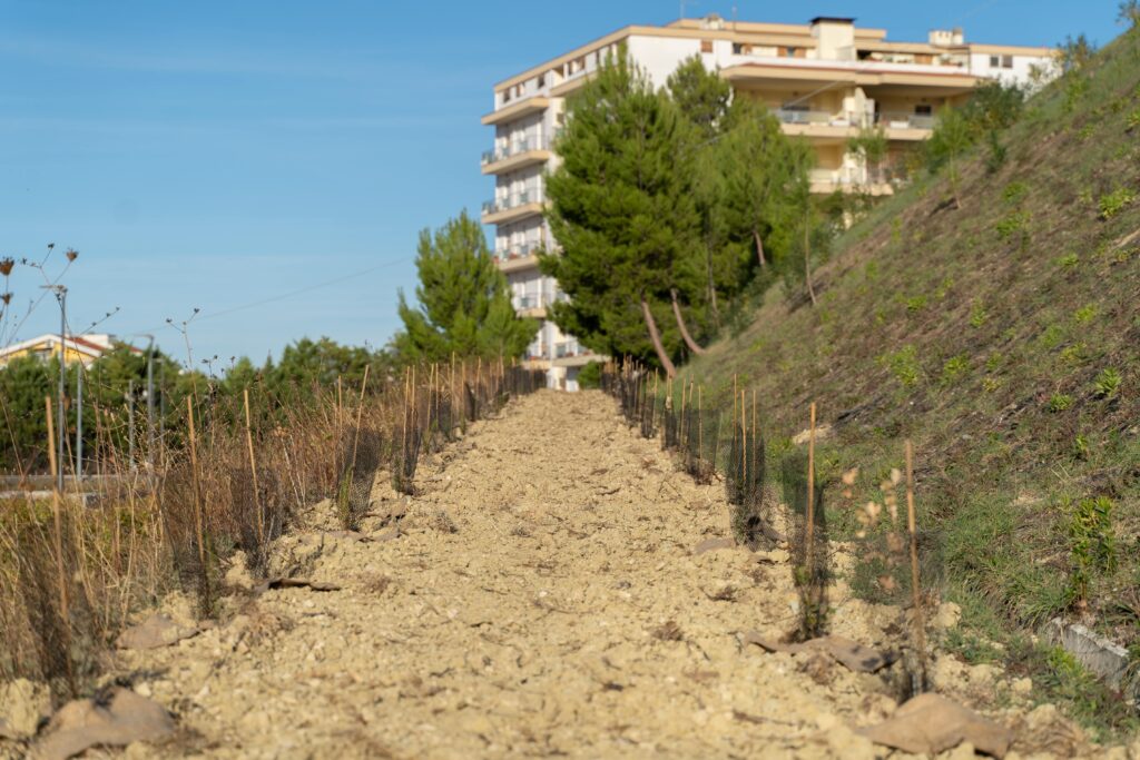 Pescara, a dimora 1.000 nuove piante nella zona sud