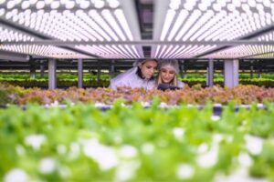 Agroalimentare e sostenibilità, la roadmap verso il 2030