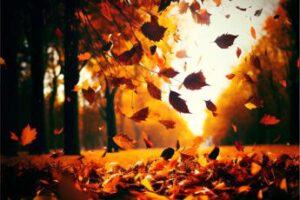 Arriva l’Estate di San Martino, ma quest’anno sarà diversa: ecco perché