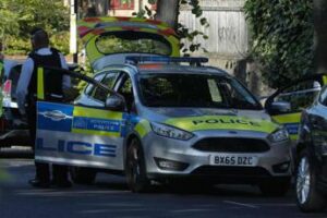 Auto contro i cancelli di Buckingham Palace, un arresto
