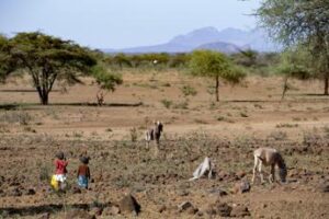 Cesvi: “In Africa le persone denutrite aumenteranno da 282 a 298 milioni nel 2030”