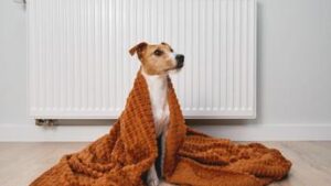 Energia, si accendono i termosifoni: bolletta del gas più pesante