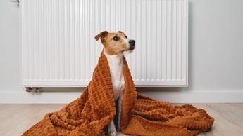 Energia, si accendono i termosifoni: bolletta del gas più pesante