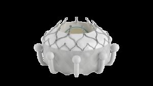 Insufficienza tricuspidale, marchio Ce per sistema transcatetere Evoque