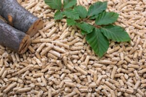 La transizione ecologica passa da nuove traiettorie dell’agro-energia