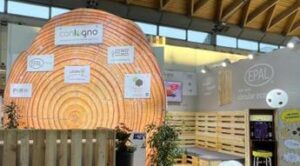 Legno risorsa per la transizione, i vantaggi della selvicoltura sostenibile